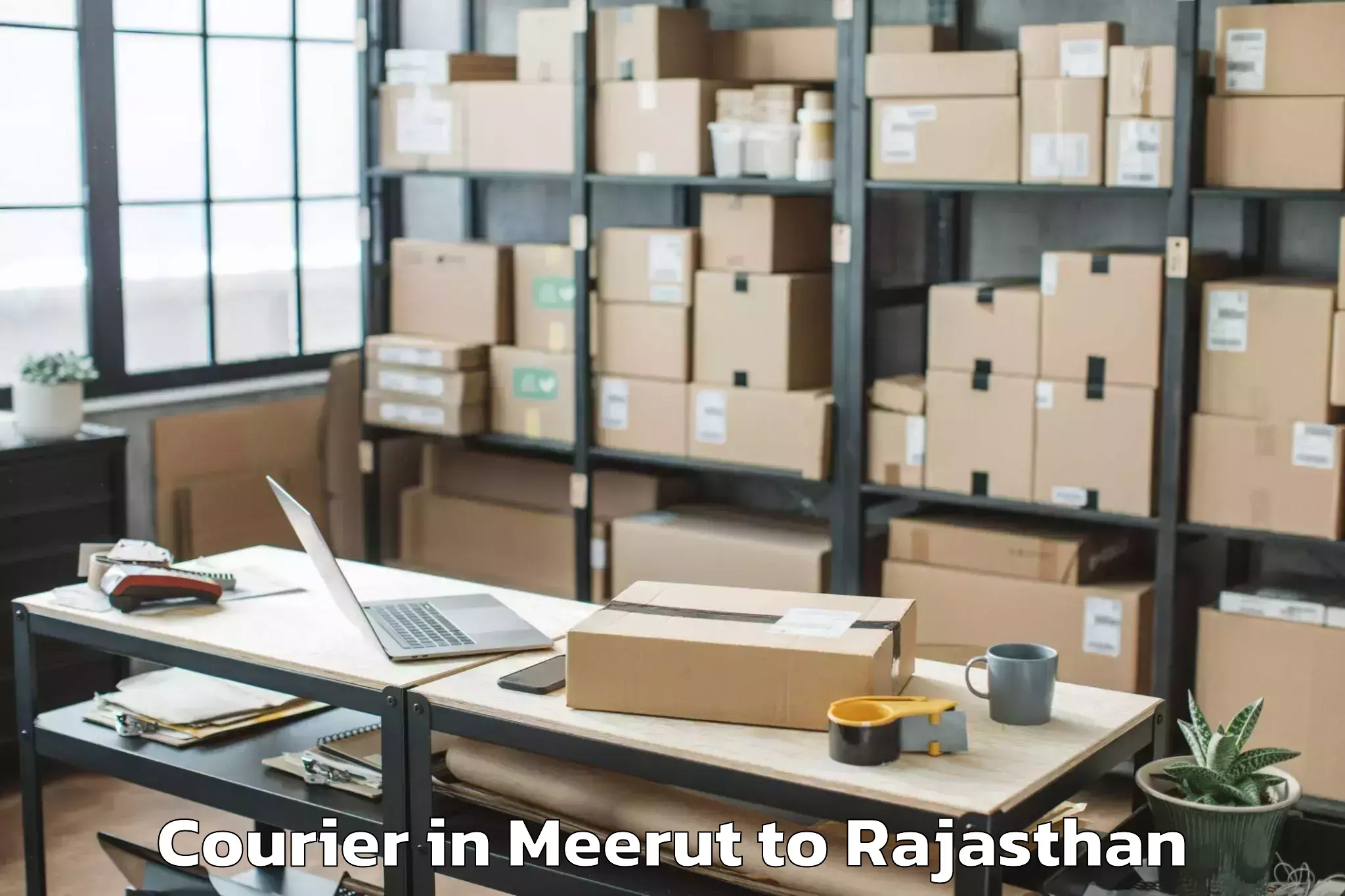 Easy Meerut to Salumbar Courier Booking